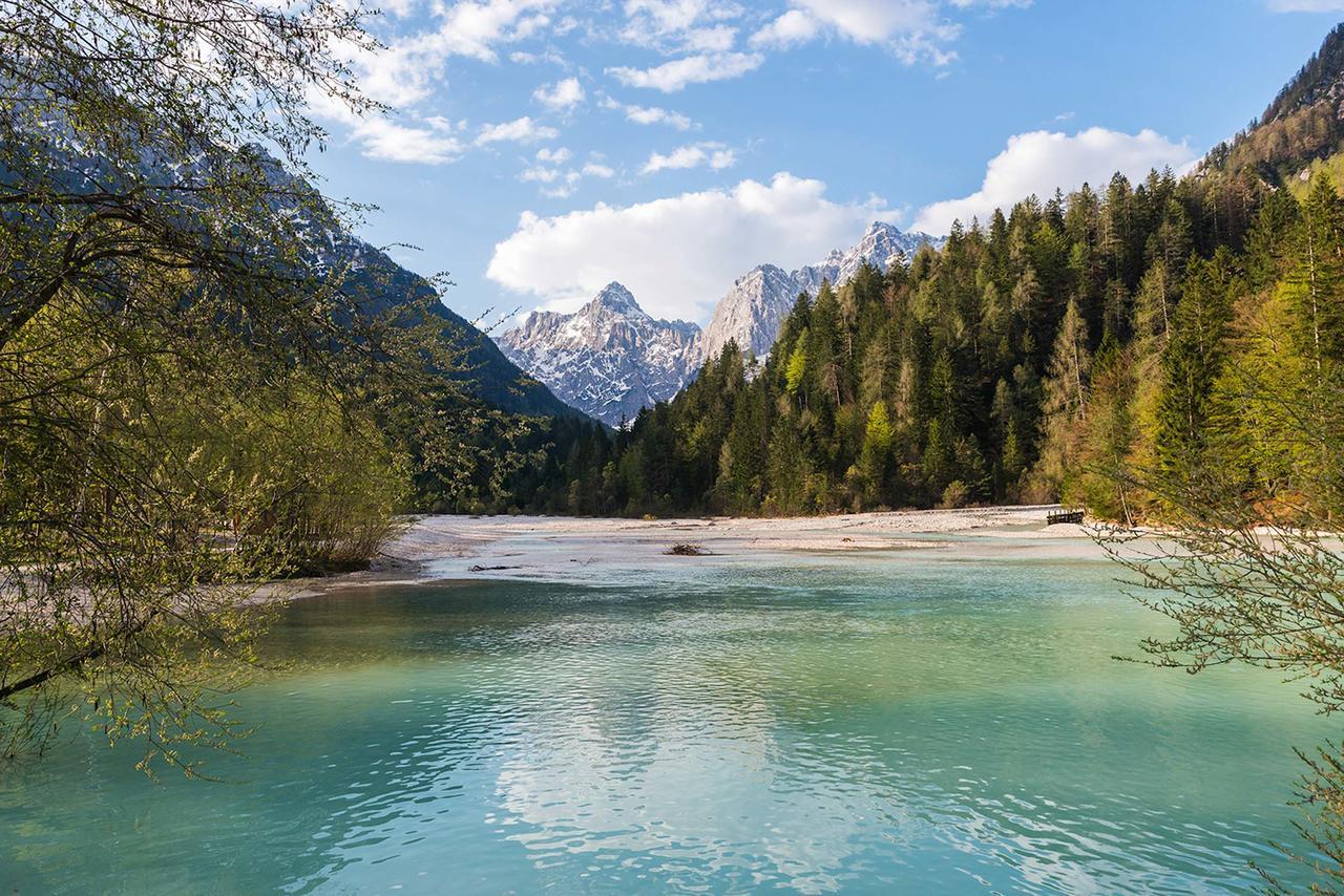 Villa Planina Kranjska Gora Eksteriør billede